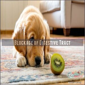 blockage of digestive tract