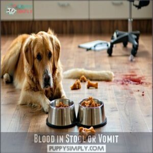 blood in stool or vomit