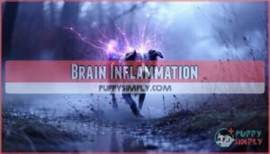 brain inflammation