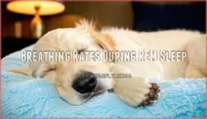 breathing rates during rem sleep