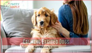 calming excited dogs