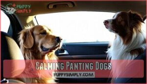 calming panting dogs