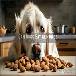 can dogs eat almonds