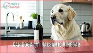 can dogs eat balsamic vinegar