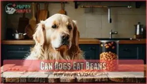 can dogs eat beans