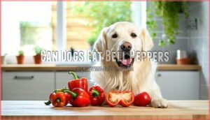 can dogs eat bell peppers