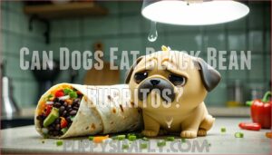 can dogs eat black bean burritos