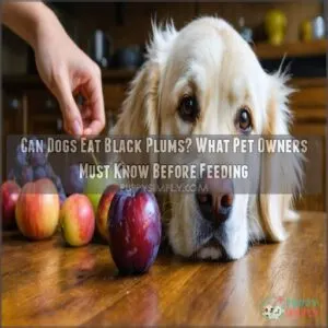 can dogs eat black plums