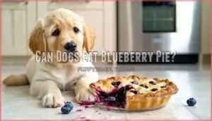 can dogs eat blueberry pie