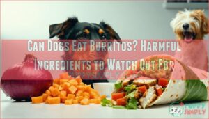 can dogs eat burritos