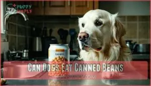 can dogs eat canned beans
