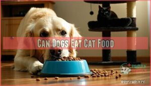 can dogs eat cat food