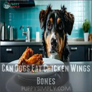can dogs eat chicken wings bones