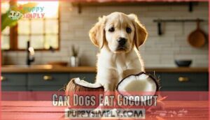 can dogs eat coconut