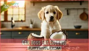 can dogs eat coconut
