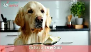 can dogs eat cream cheese