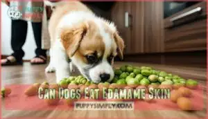 can dogs eat edamame skin