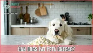 can dogs eat feta cheese