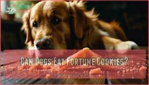 can dogs eat fortune cookies