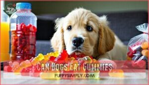 can dogs eat gummies