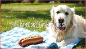 can dogs eat hot dogs