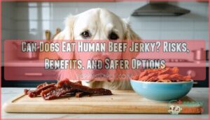 can dogs eat human beef jerky can dogs eat human beef jerky