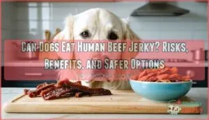 can dogs eat human beef jerky