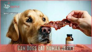can dogs eat human jerky