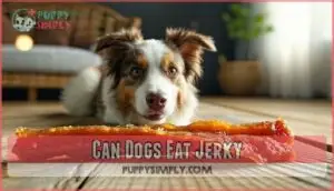 can dogs eat jerky