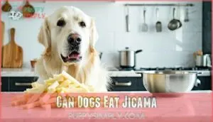 can dogs eat jicama