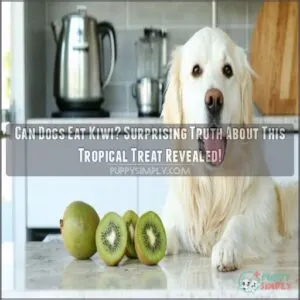 can dogs eat kiei
