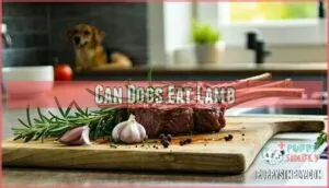 can dogs eat lamb
