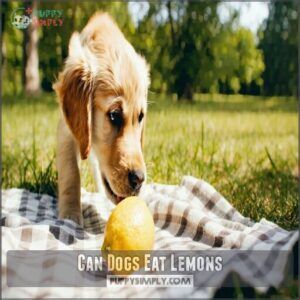 can dogs eat lemons