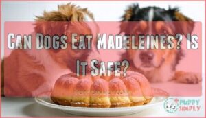 can dogs eat madeleines