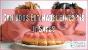 can dogs eat madeleines