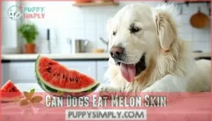 can dogs eat melon skin