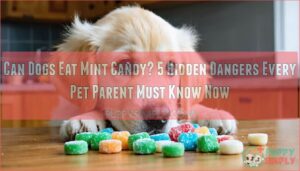 can dogs eat mint candy can dogs eat mint candy