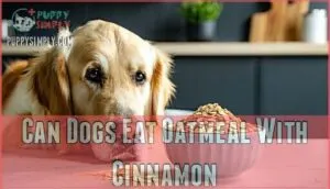 can dogs eat oatmeal with cinnamon