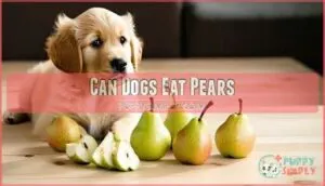 can dogs eat pears