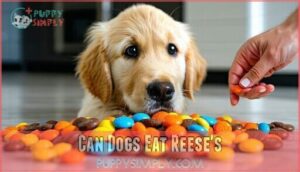can dogs eat reese's