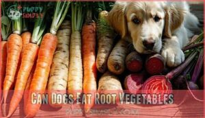 can dogs eat root vegetables