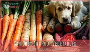 can dogs eat root vegetables