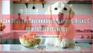 can dogs eat sauerkraut