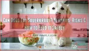 can dogs eat sauerkraut