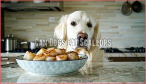 can dogs eat scallops