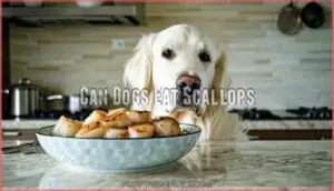 can dogs eat scallops
