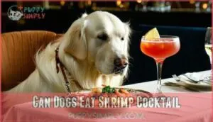 can dogs eat shrimp cocktail