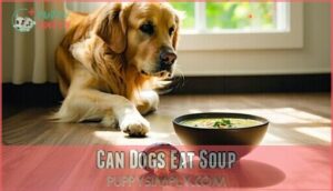 can dogs eat soup