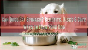can dogs eat spinich