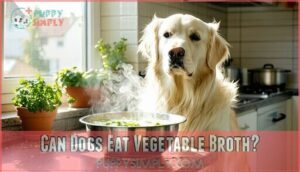 can dogs eat vegetable broth